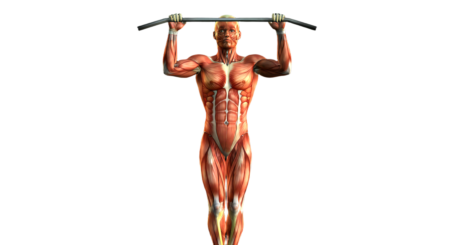 A man is doing pull ups on a bar png