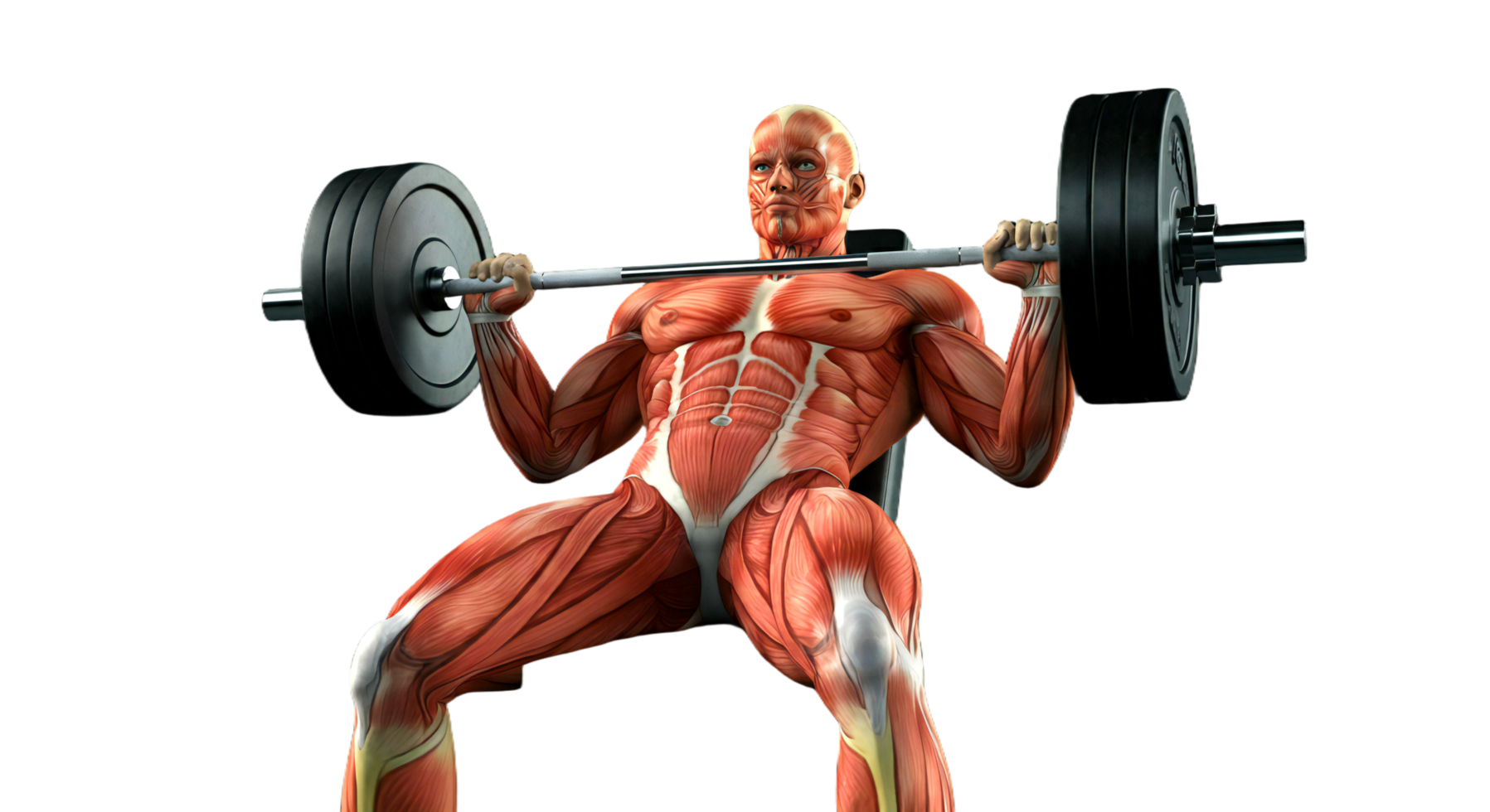 A man is doing a barbell bench press png