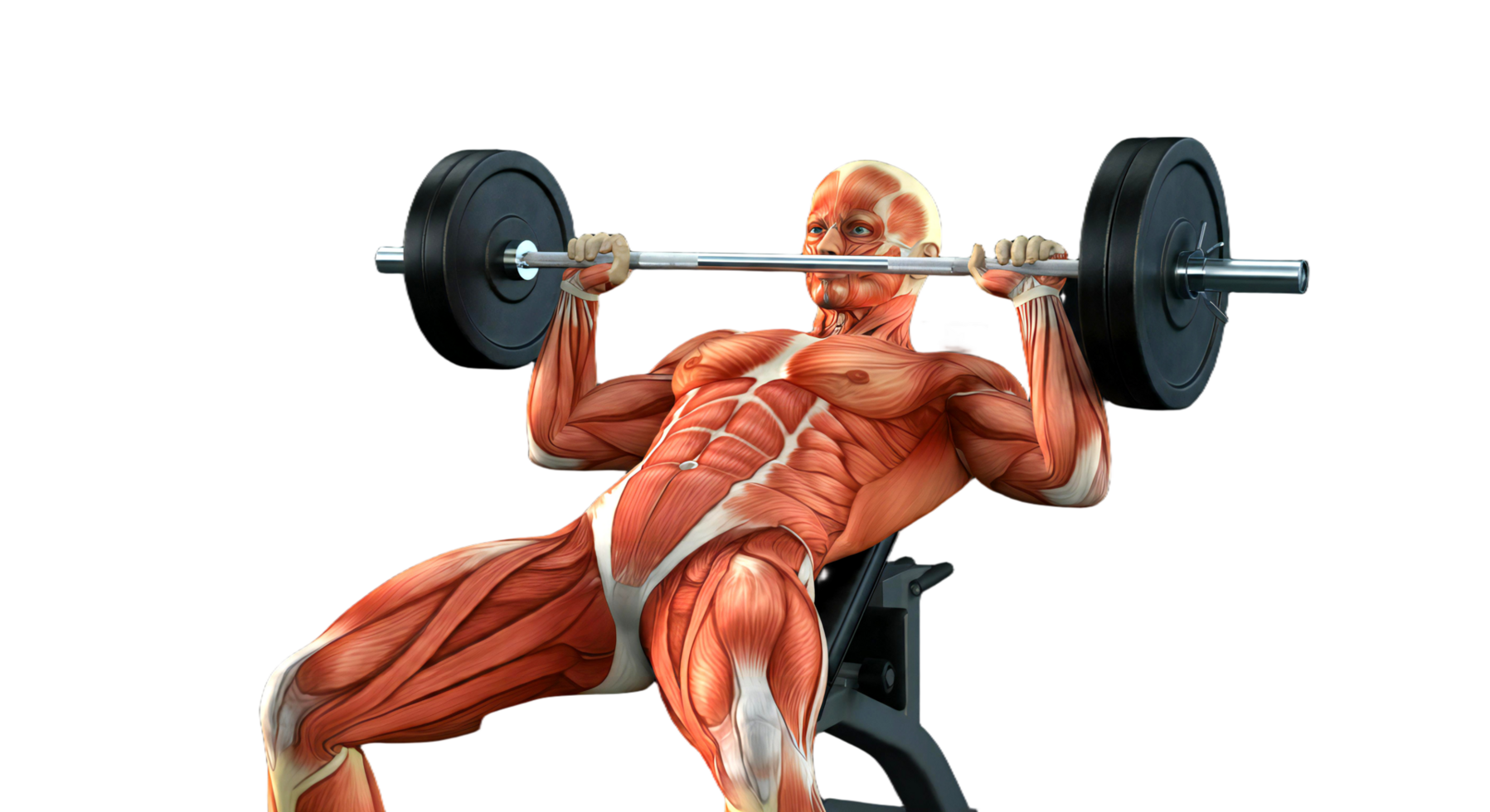 A man is doing a bench press with a barbell png