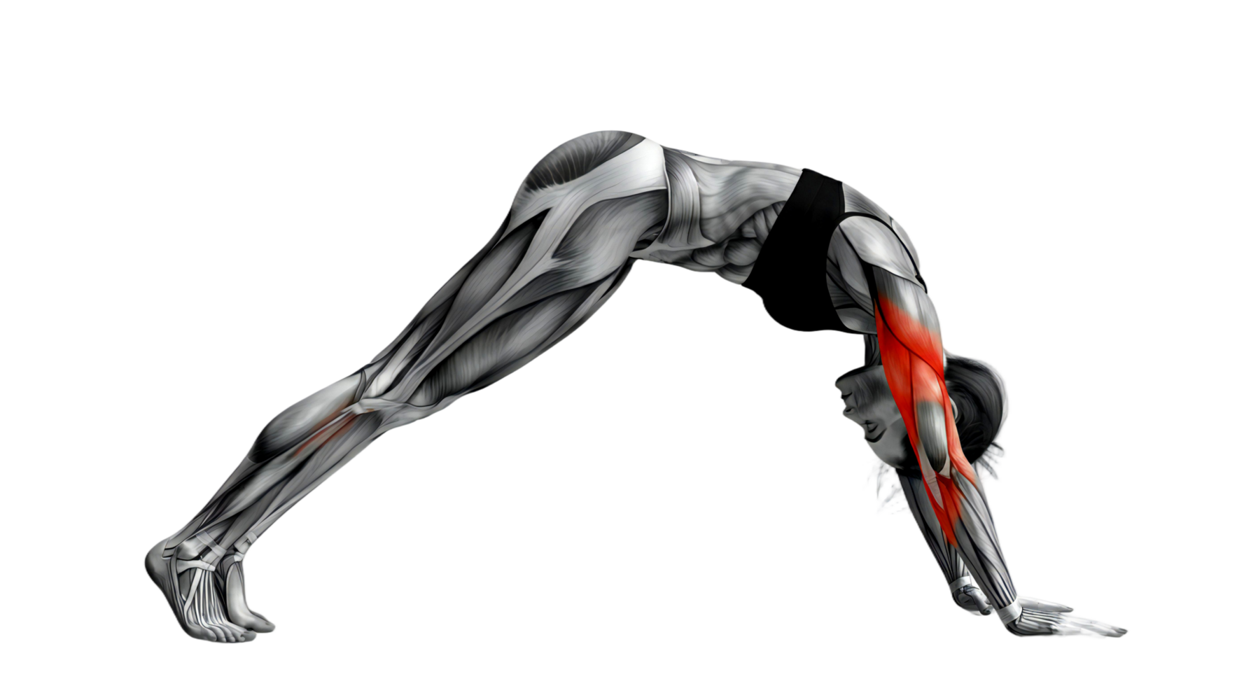 A man doing a yoga pose with his arms up png