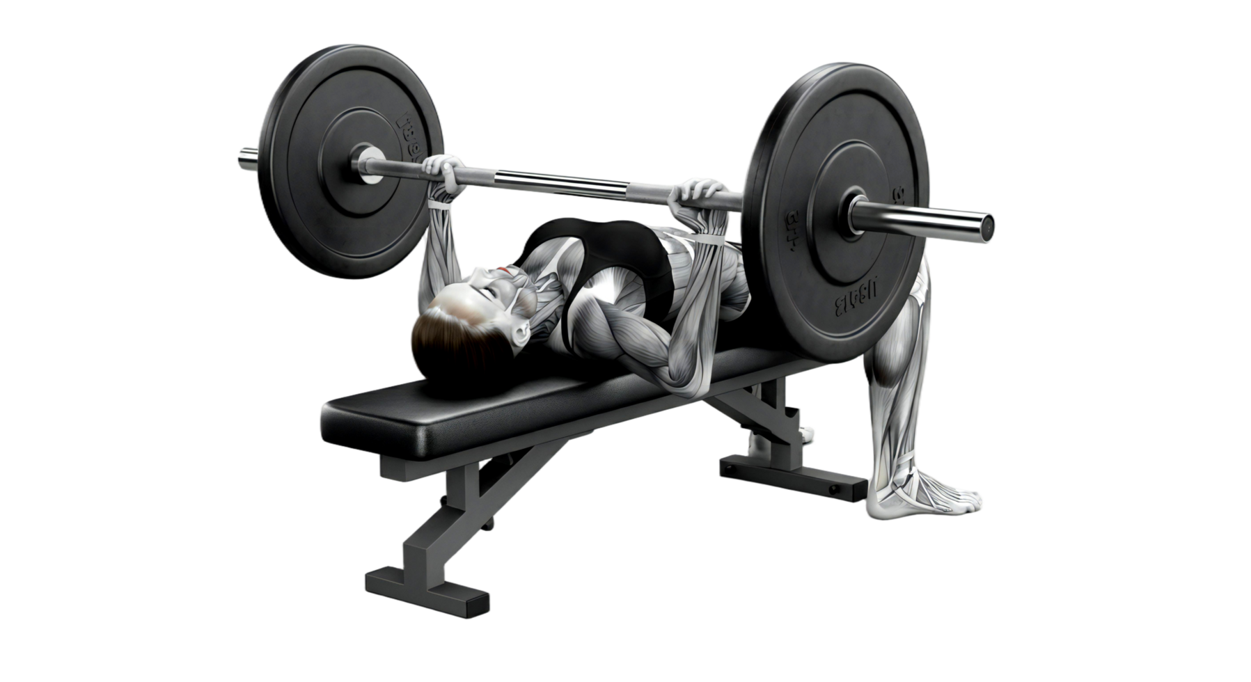 A woman is doing a bench press with a barbell on transparent background png