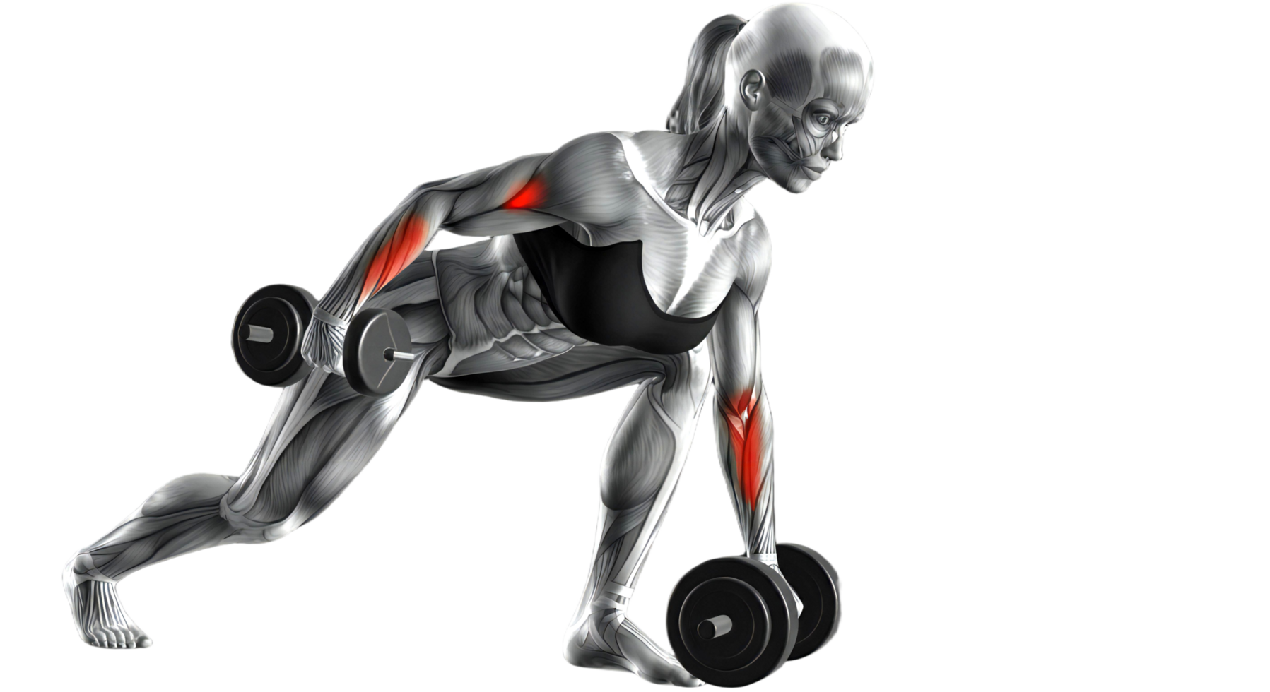 A female bodybuilder is doing a squat with dumbbells png