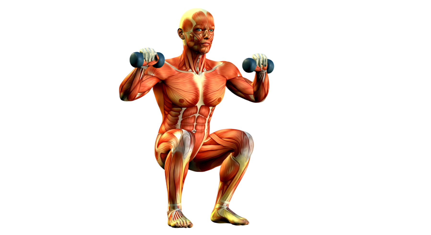 A man is doing squats with a dumbbell png