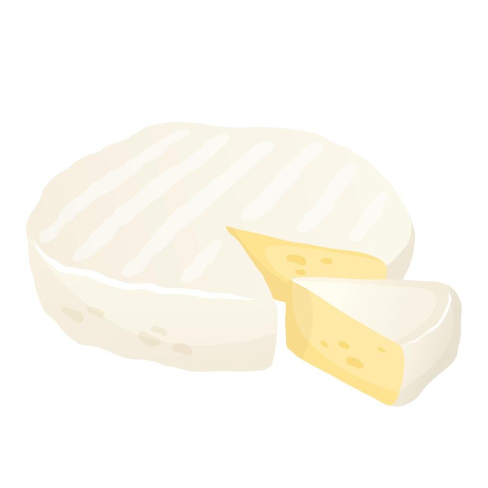 Soft white round cheese. Camembert, brie cut piece. Organic farm food. Design element, cartoon flat illustration for logo, poster, menu. Isolated on white background. vector