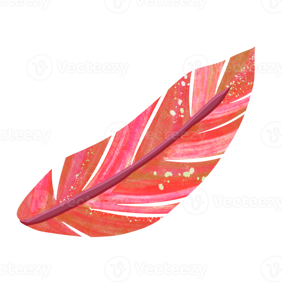 Cute Festive Orange Feather Illustration png