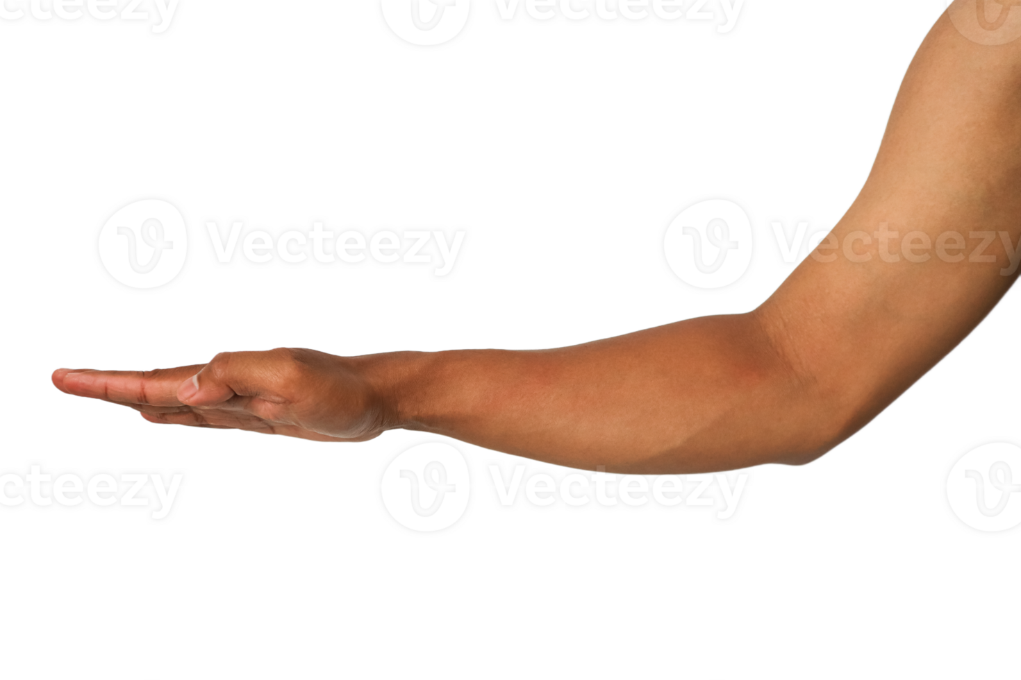 Brown Skin Arm Outstretched, Open Hand Gesture, Transparent Background for Image Use or Graphic png