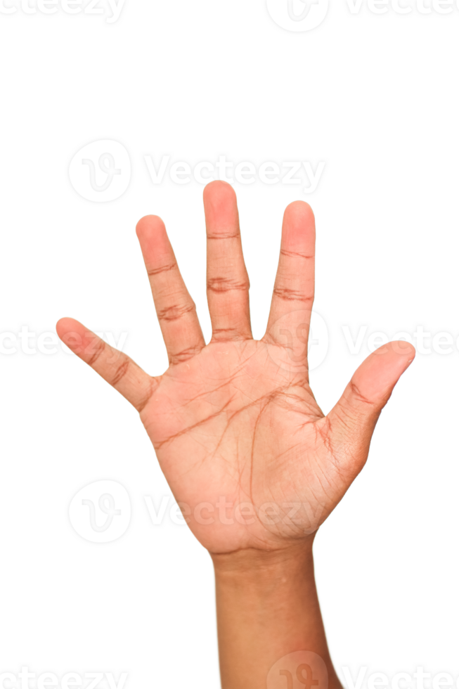 Open Brown Hand Against Transparent Background png