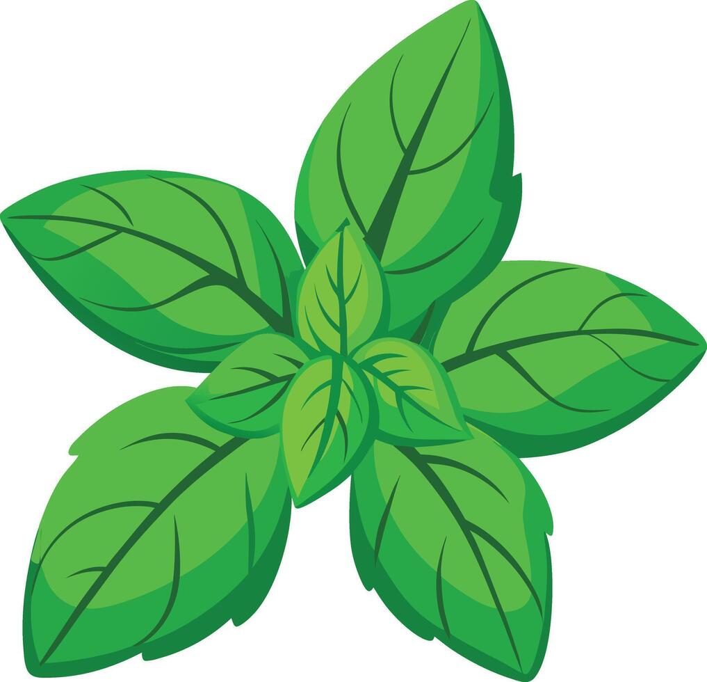 A green leaf with leaves on it vector