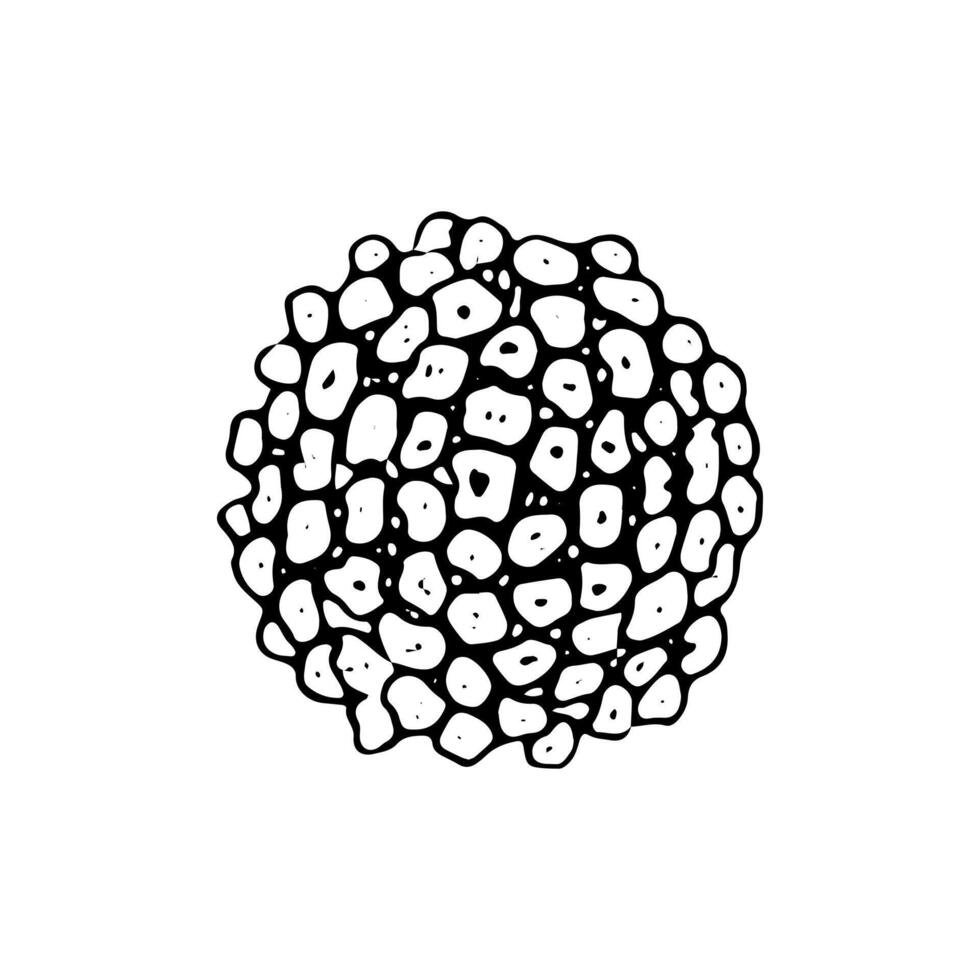 illustration of the Hepatitis B virus in black and white. Hand drawn viral cell white background. ideal for medical, microbiology, and healthcare designs related to infection and immunity vector