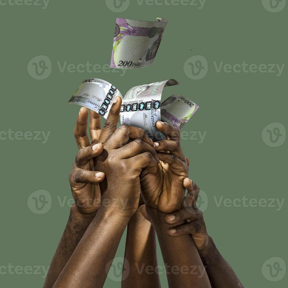 Many black African hands reaching out for Botswanan pula notes money over green background. Stretching arms for cash. photo