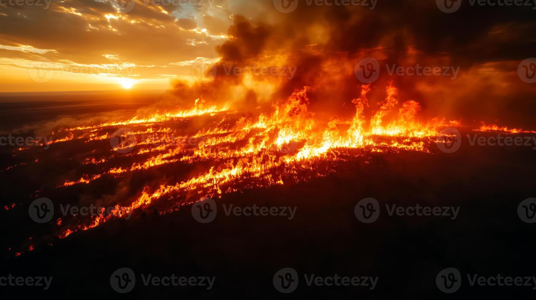 A large fire is burning in the middle of a field photo