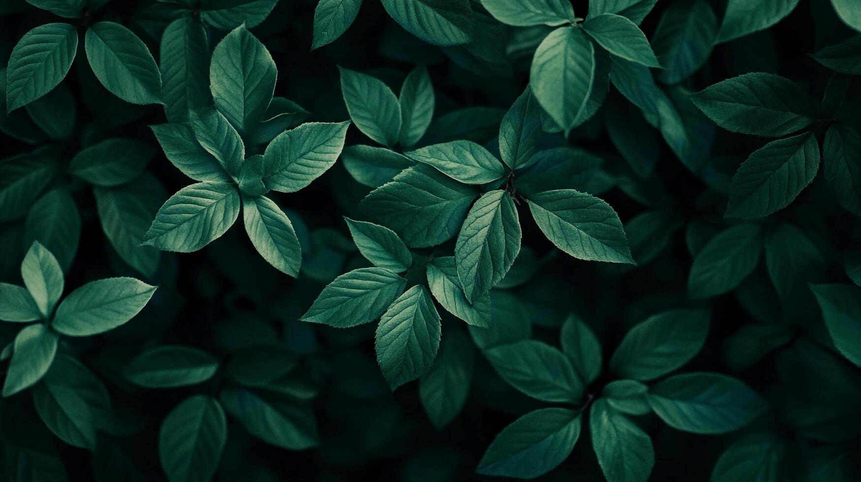 Lush green leaves form a tranquil canopy, their textured surfaces and deep shades creating a serene natural scene. Detailed foliage. photo