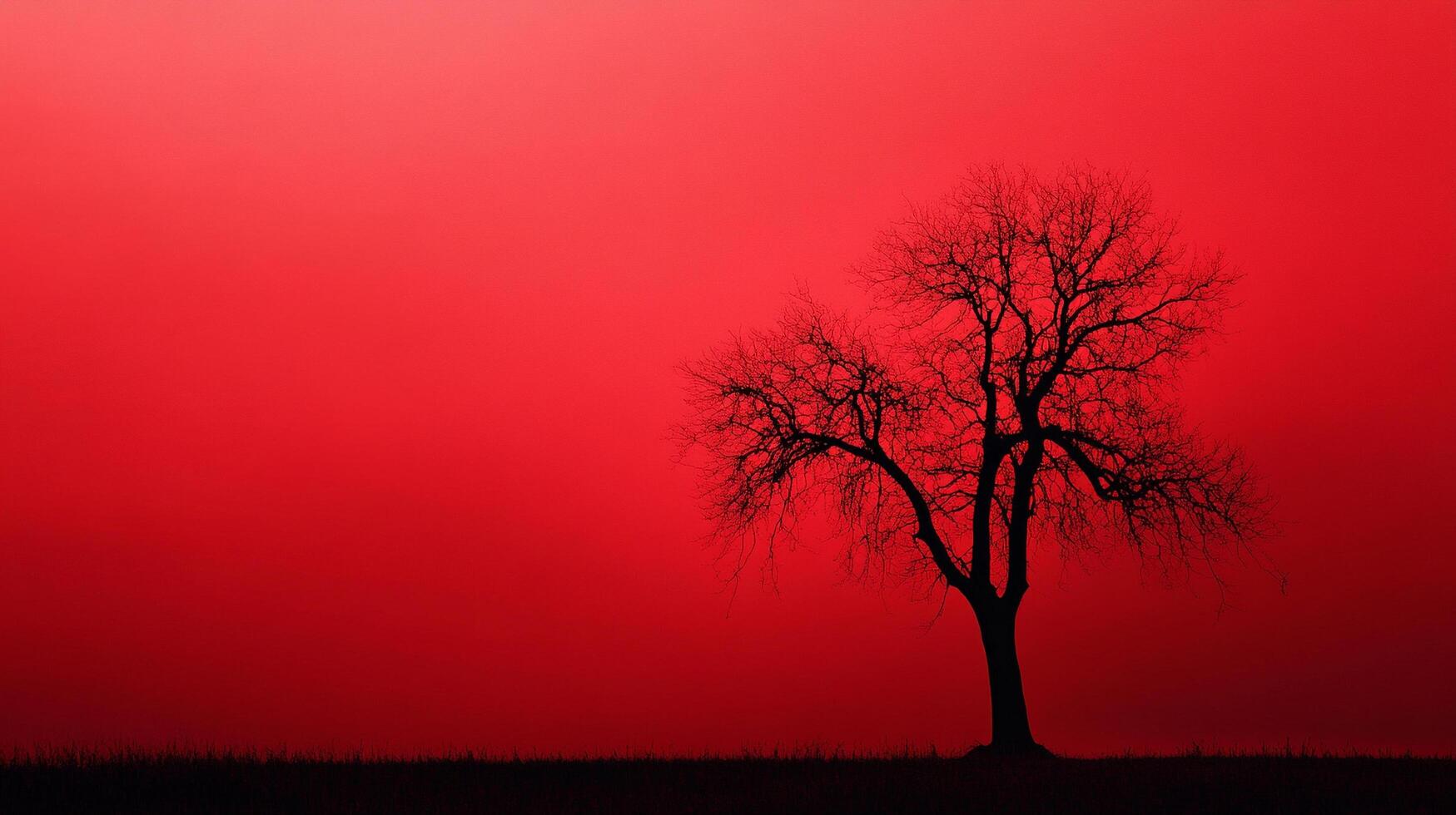 Silhouette of a tree standing alone against a vibrant red sky, evoking a sense of solitude and natural beauty in monochromatic color. photo