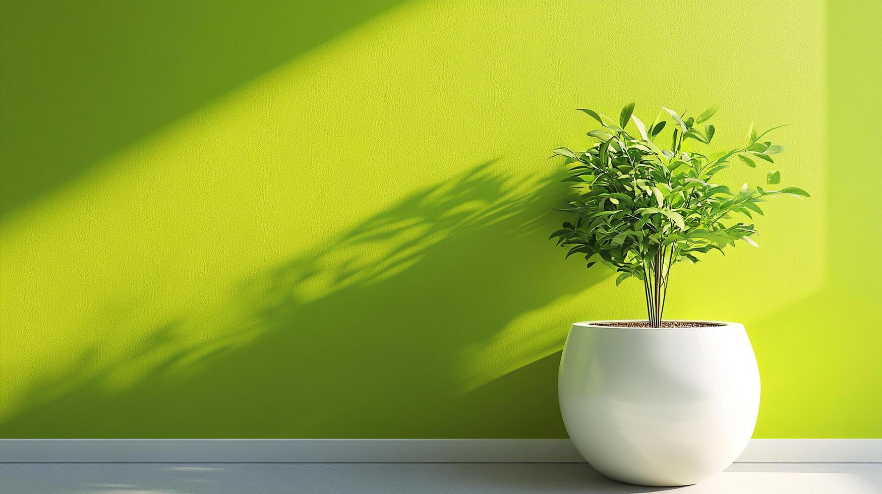 Green wall contrasts beautifully with a vibrant leafy plant in a white spherical pot, bathed in sunlight, bringing natural light and freshness. photo
