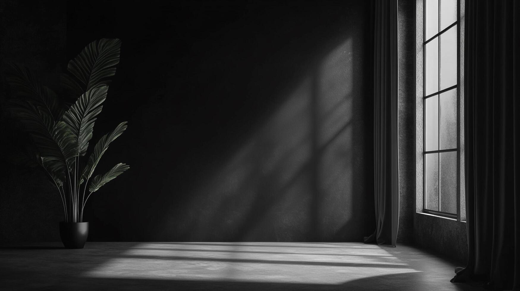 Monochromatic interior featuring a plant in a dark room with light streaming through a window. Serene and minimalist scene. photo