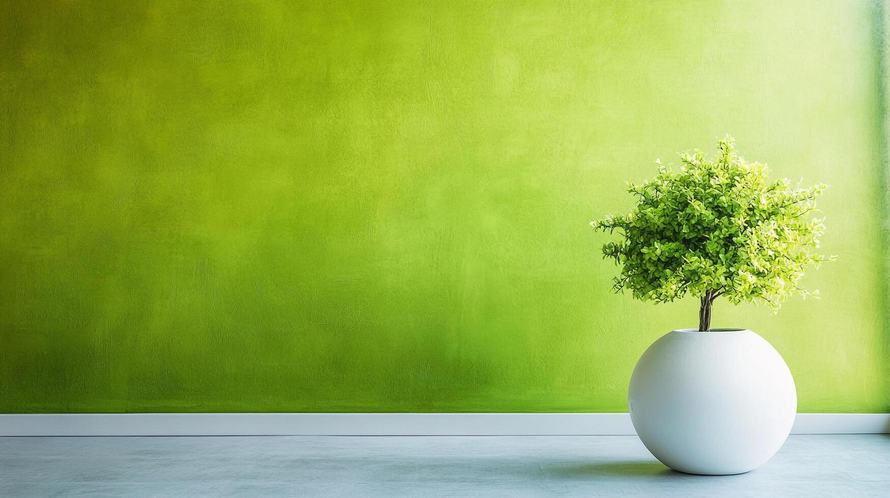 A vibrant green wall serves as the backdrop for a small tree planted in a modern, spherical, white pot in a minimalist and bright space. photo