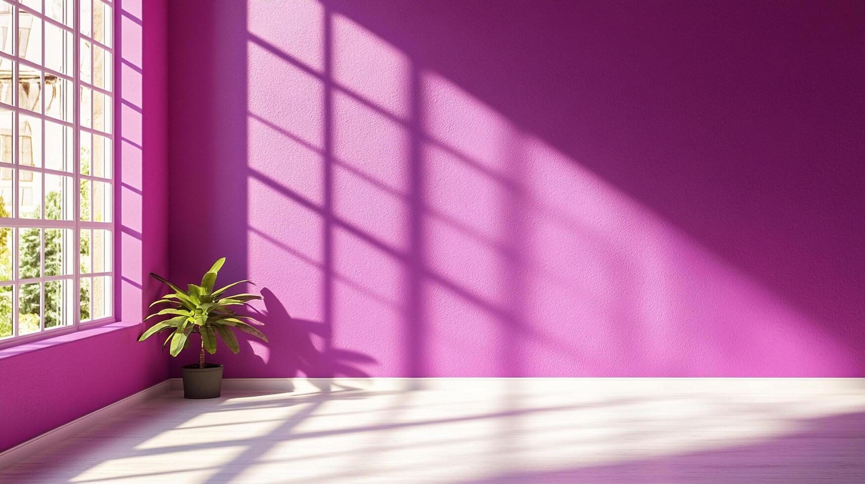 A purple room bathed in sunbeams. Window light casts shadow patterns on wall. Green plant on floor adds pop of nature to interior. photo