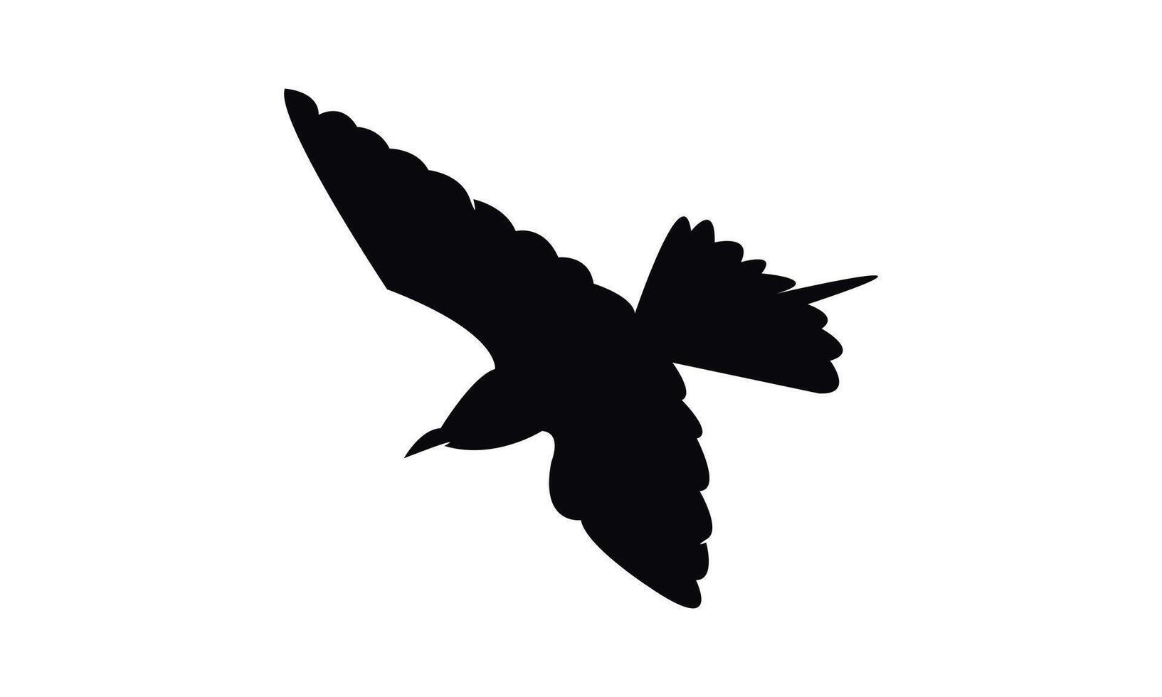 Flying African green bee eater bird Silhouette Design vector