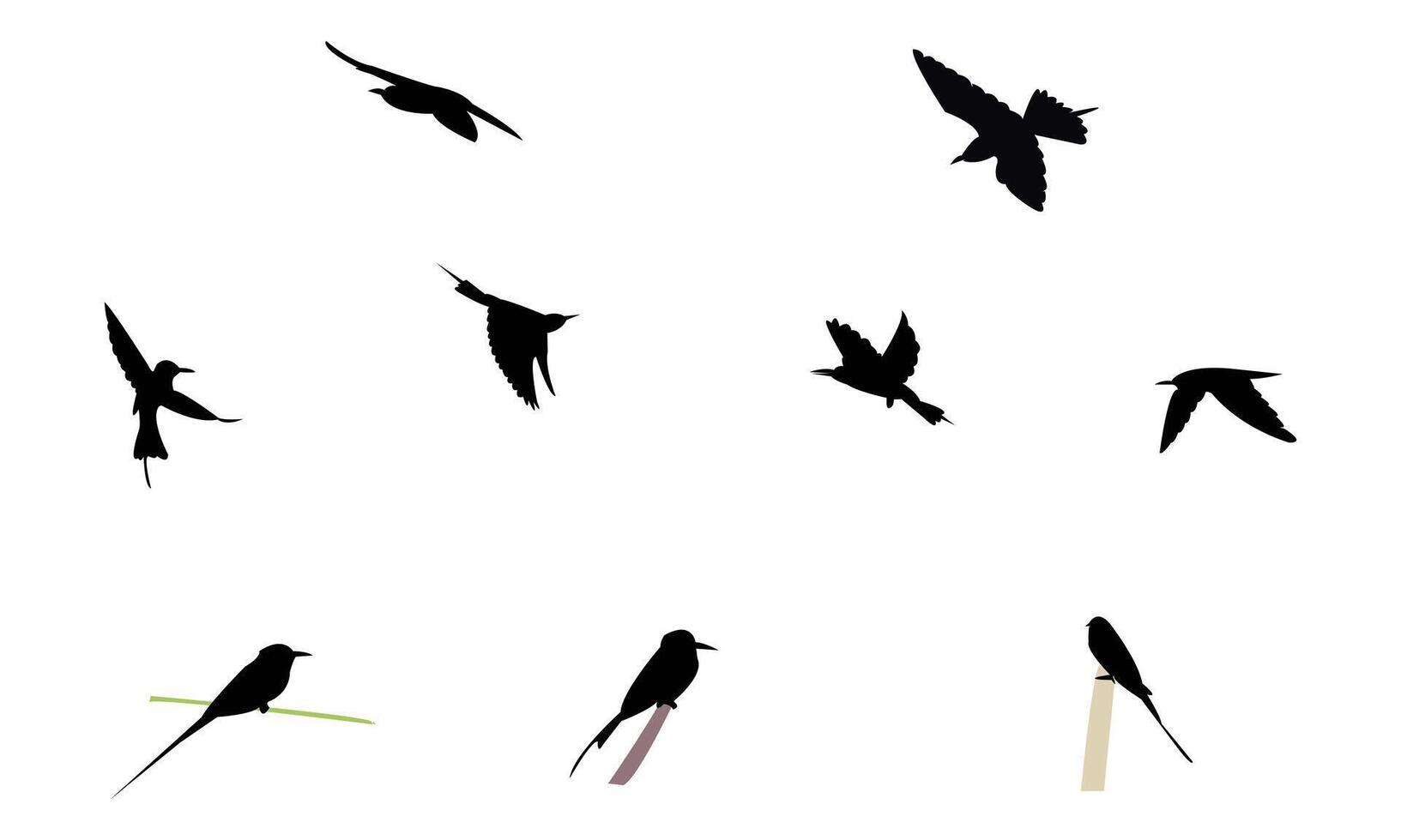 African green bee eater bird Silhouette Collection vector