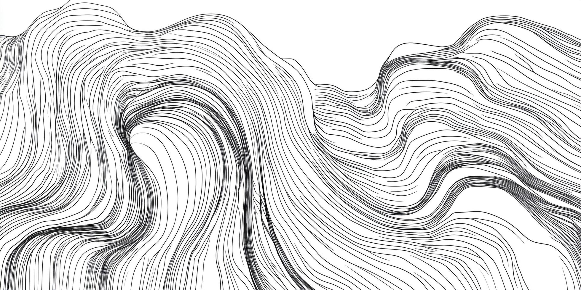 Abstract black lines forming wave-like patterns against a white backdrop, creating a sense of depth and fluid motion, evocative of topography. photo