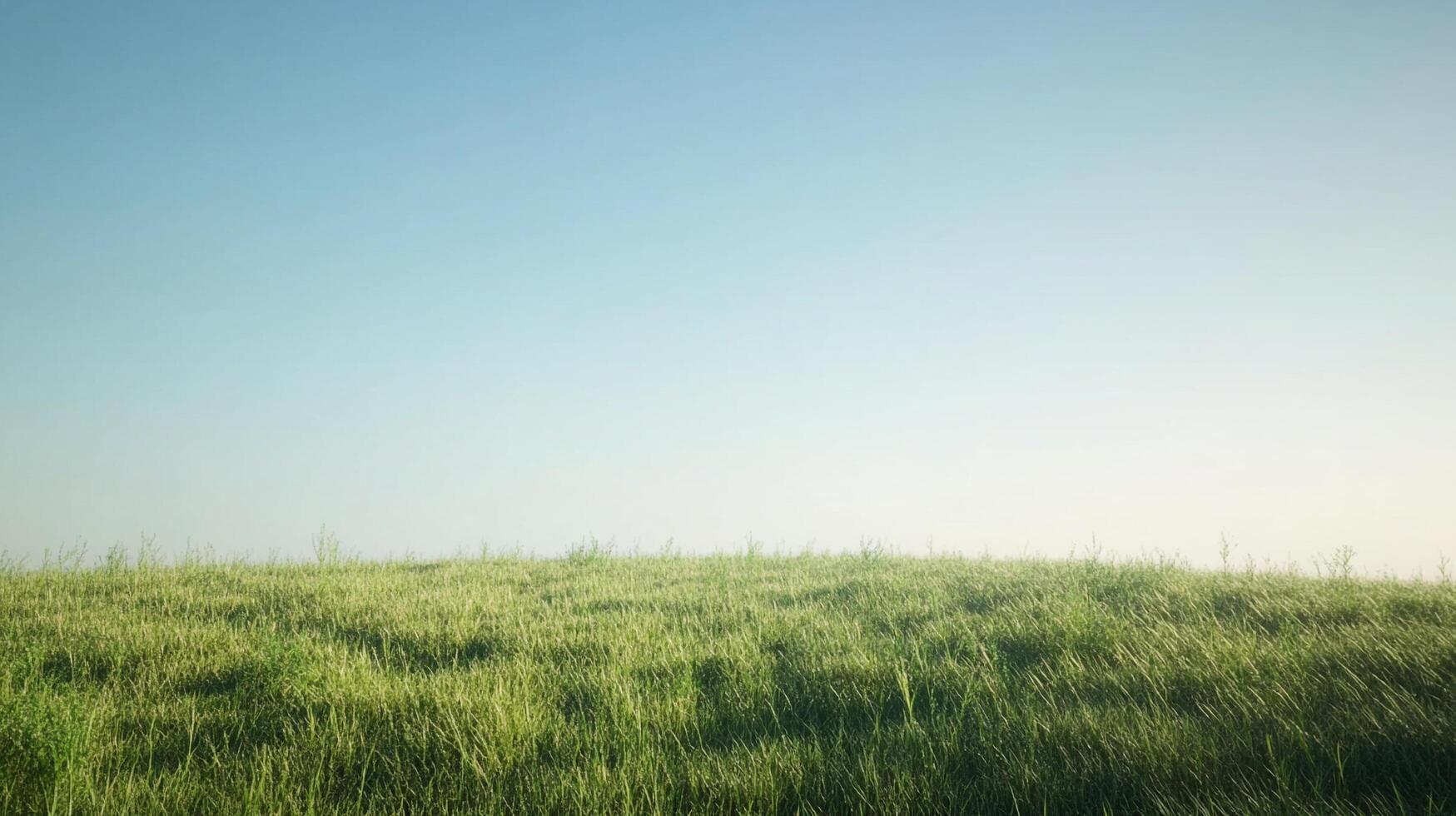 Lush green grass under a clear blue sky creates a serene and peaceful scene, perfect for relaxation and connection with nature's beauty. photo