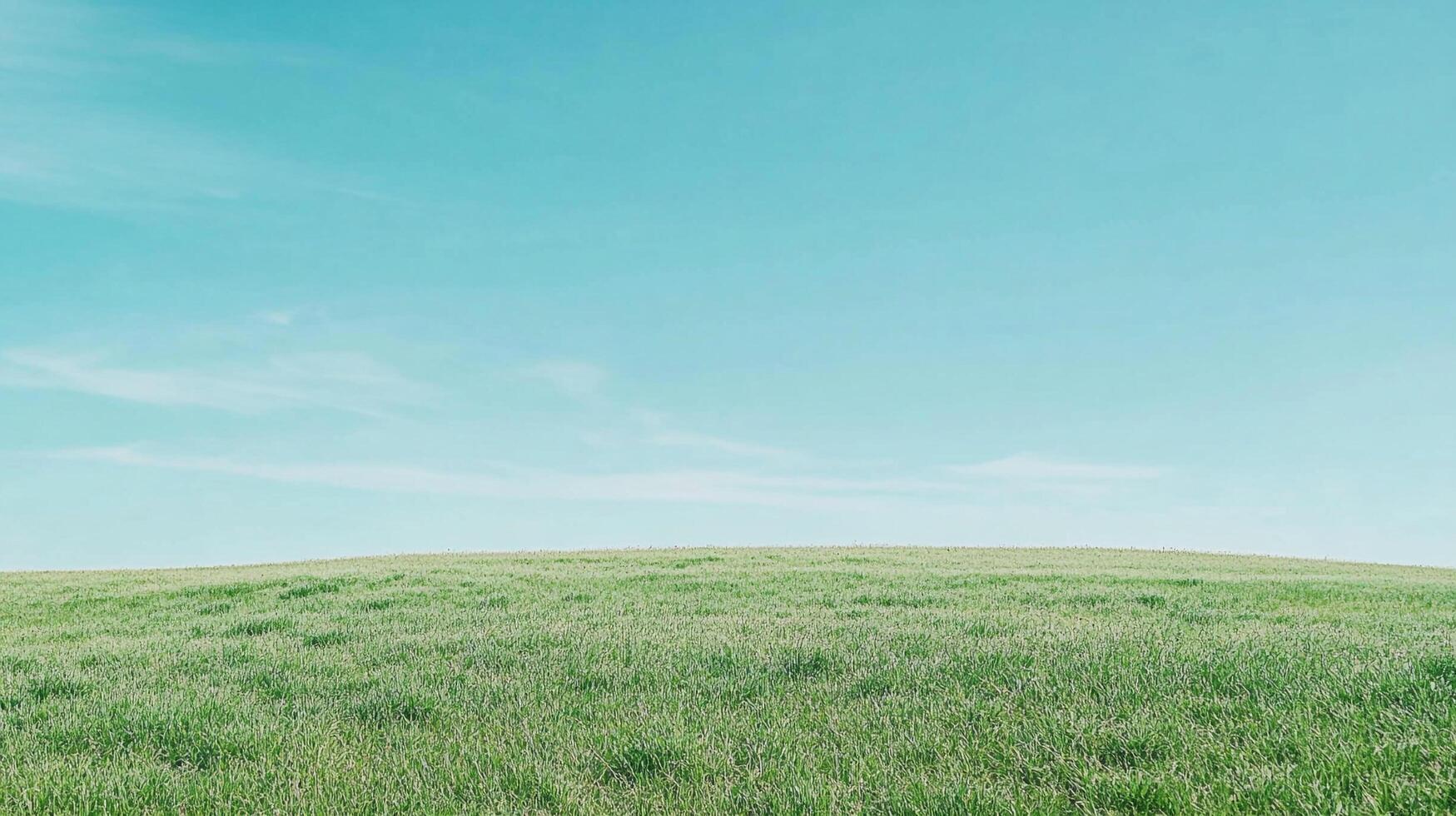 A serene view of a green field under a clear, bright sky evokes peace and tranquility. Beautiful summer scenery perfect for backgrounds. photo