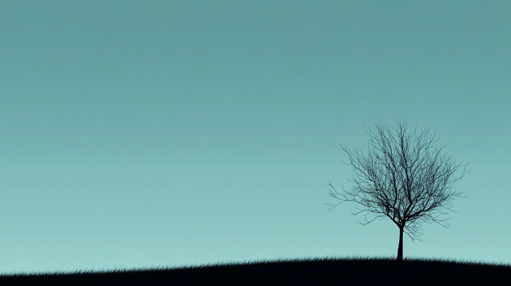 Silhouette of a bare tree against a light blue sky, evoking a sense of calm and stark beauty in a minimalist landscape scene. photo