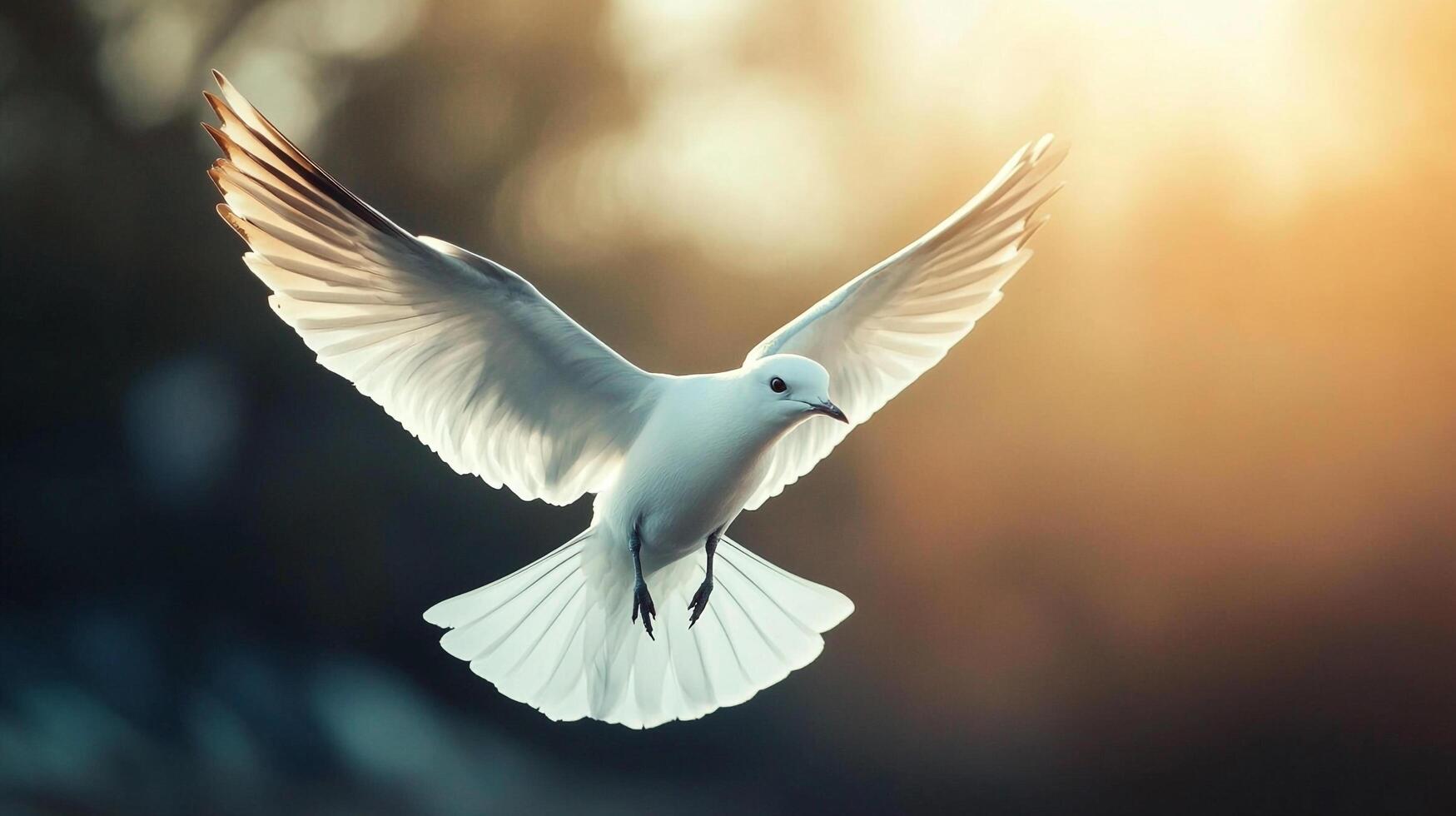 Majestic white bird in graceful flight, wings spread wide against a blurred light backdrop, embodying freedom and tranquility. photo