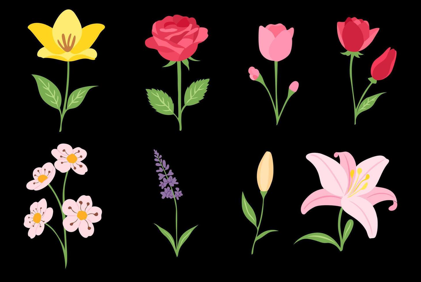 set of flower in spring season vector