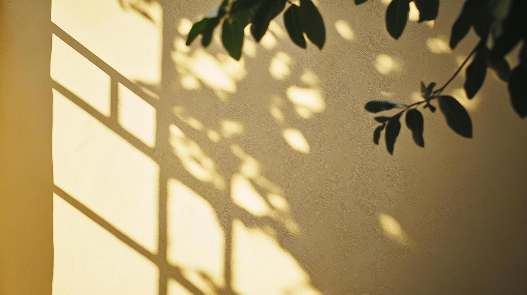Sunlight and shadows create geometric patterns on a wall, with a leafy branch adding organic contrast to the linear design. photo