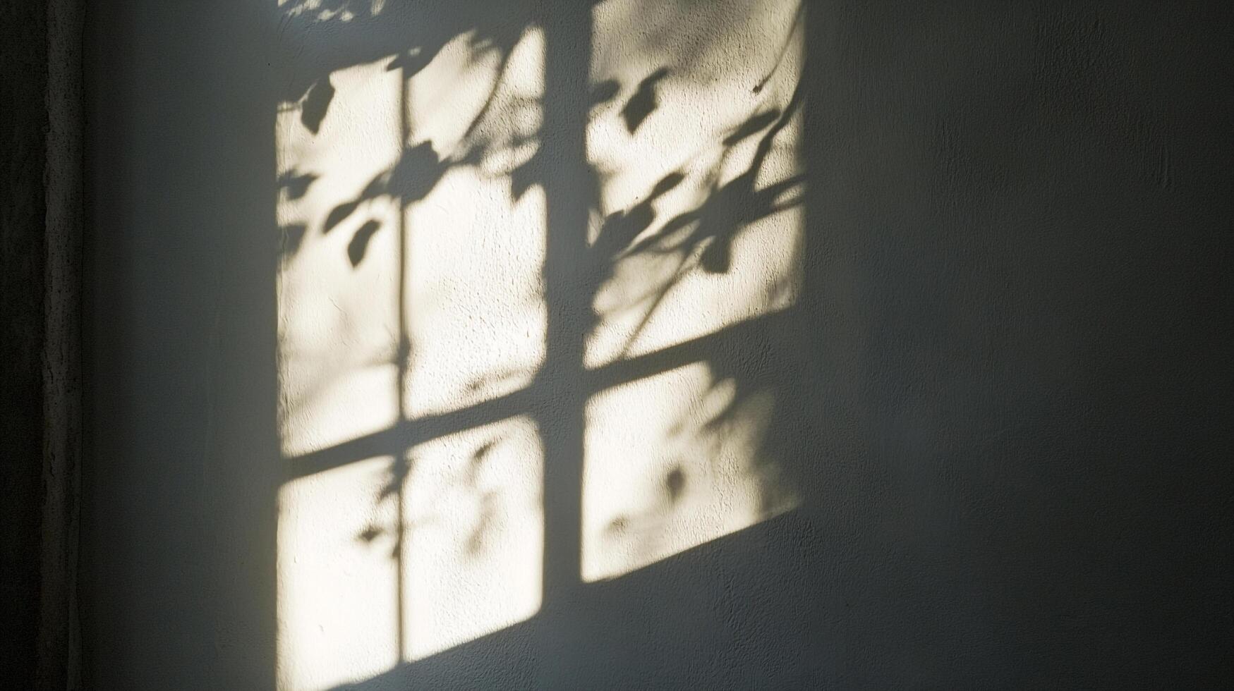 Light and shadow create a serene scene on a textured wall, showcasing the interplay of nature and architecture with abstract shadows. photo