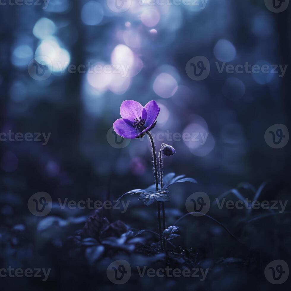 delicate purple flower stands out in dark forest, illuminated by soft light, creating serene and enchanting atmosphere photo