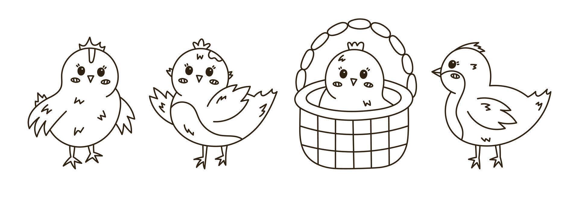 Line doodle set with lovely chick in different poses. Young baby chicken waving hello with wings, in the basket, side view. Scribble hand drawn farm bird as symbol of Easter isolated on background. vector