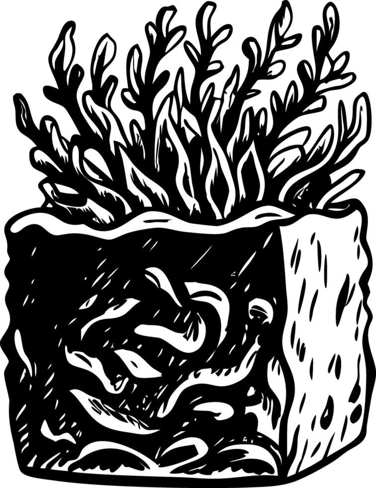 A vintage illustration of a decorative seaweed plant vector