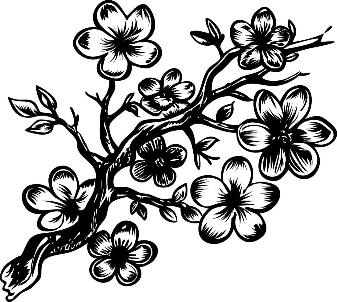 Plum blossom branch, vintage style illustration vector