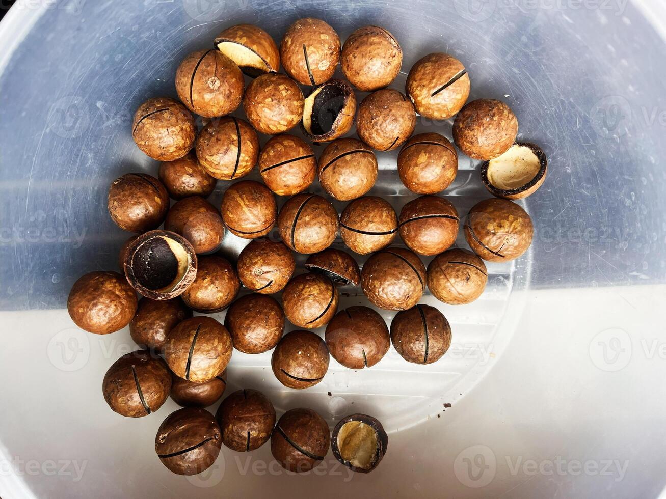 Close-up of cracked macadamia nuts collected in a plastic container photo