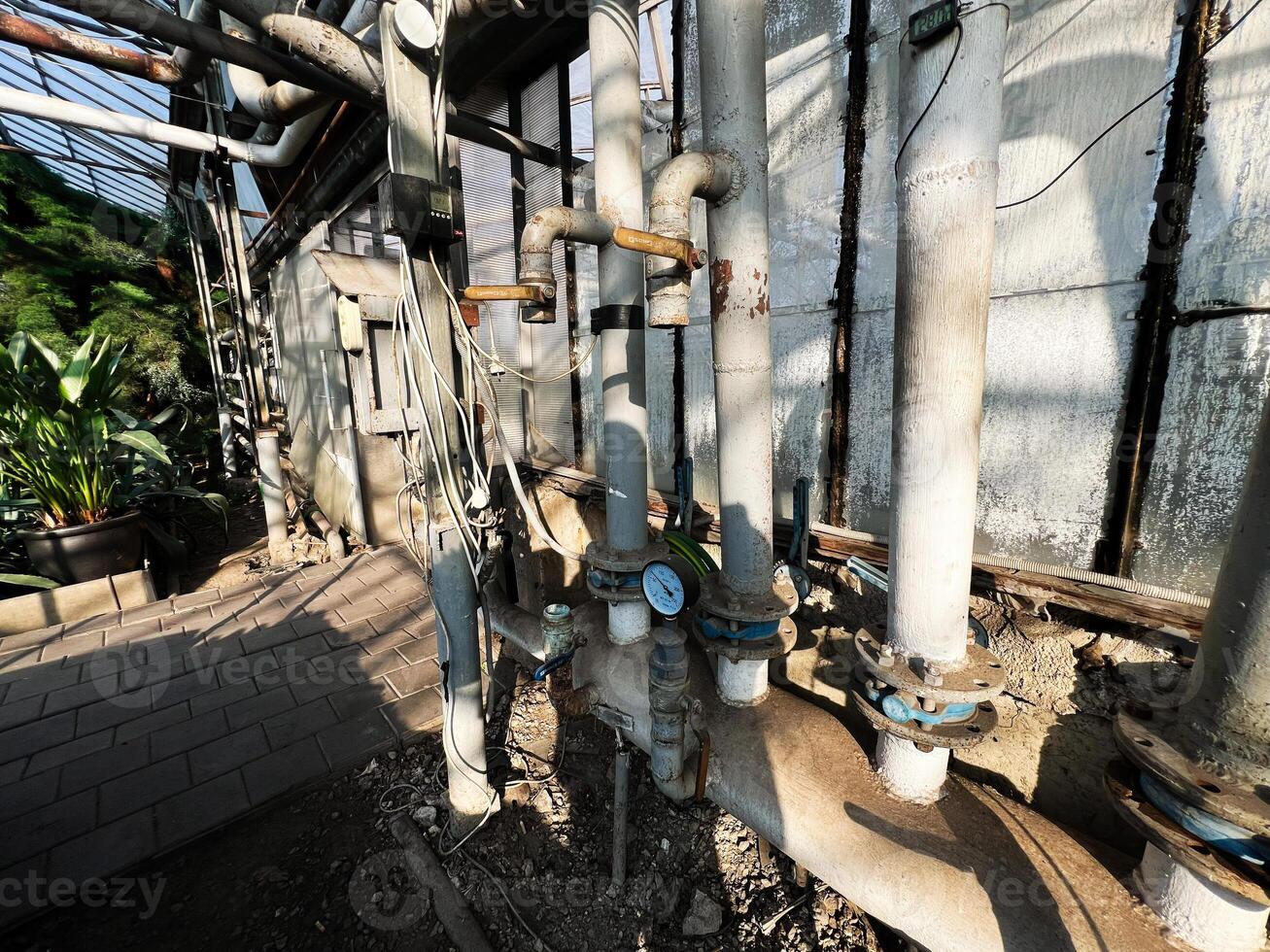 Industrial greenhouse piping and gauges with plants and sunlight photo