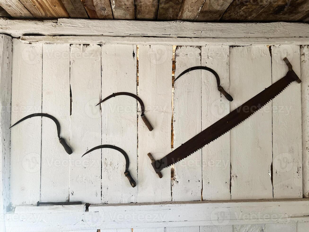 Vintage farming tools displayed on rustic wooden background of a white shed photo