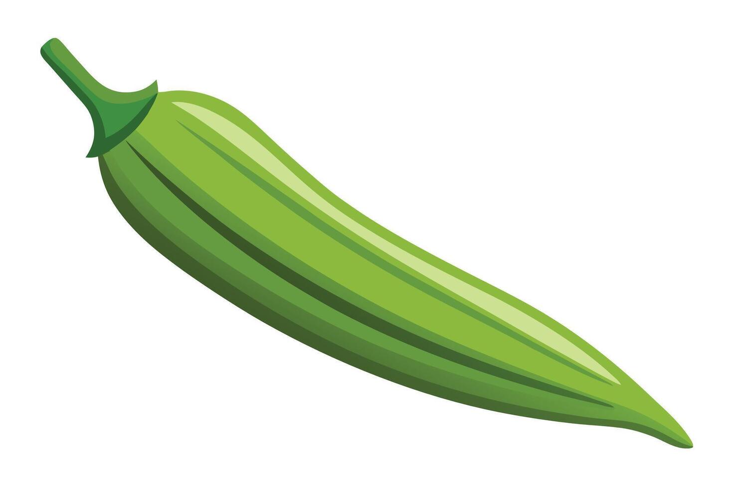 Vibrant Illustration of a Fresh Okra Pod vector