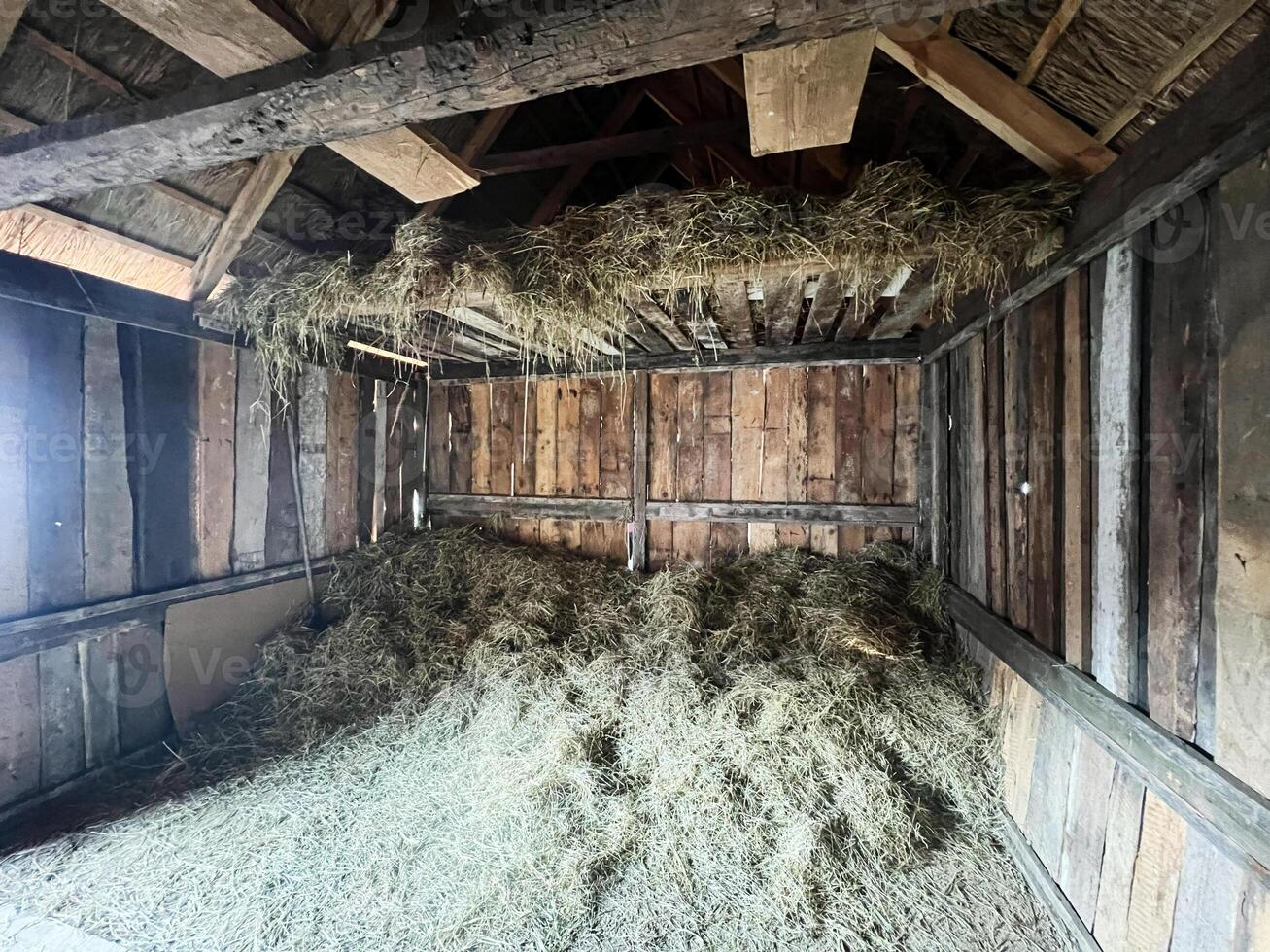 Interior of a rustic hay barn with wooden walls and scattered dry hay photo