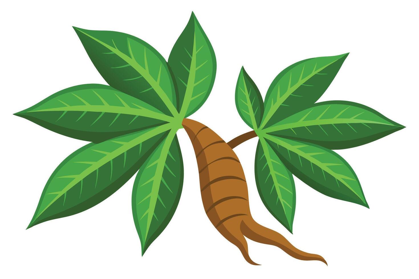 Vibrant Illustration of a Cassava Plant vector