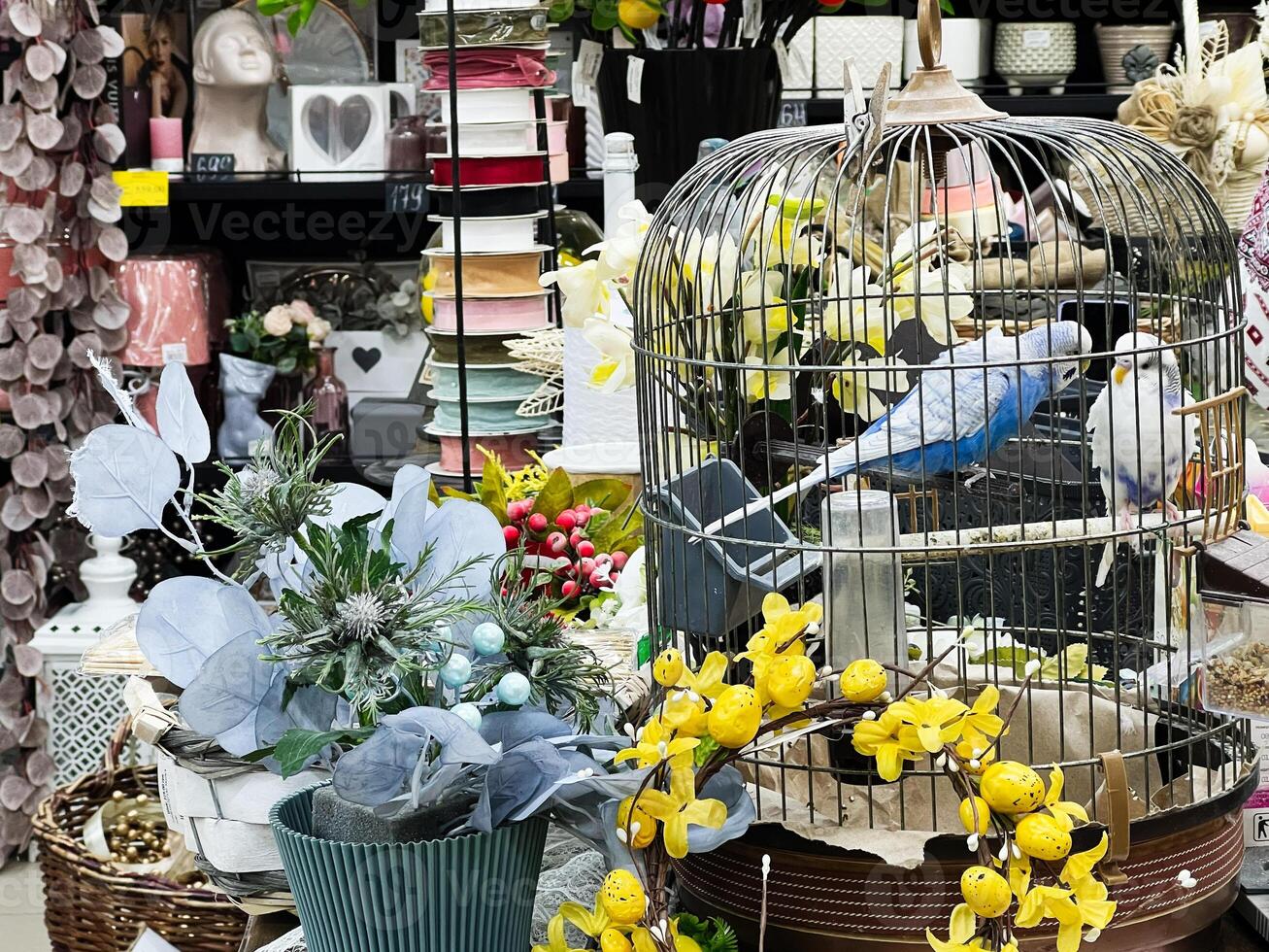 Colorful arrangement featuring parakeets in cage, flowers, and decorative accessories photo