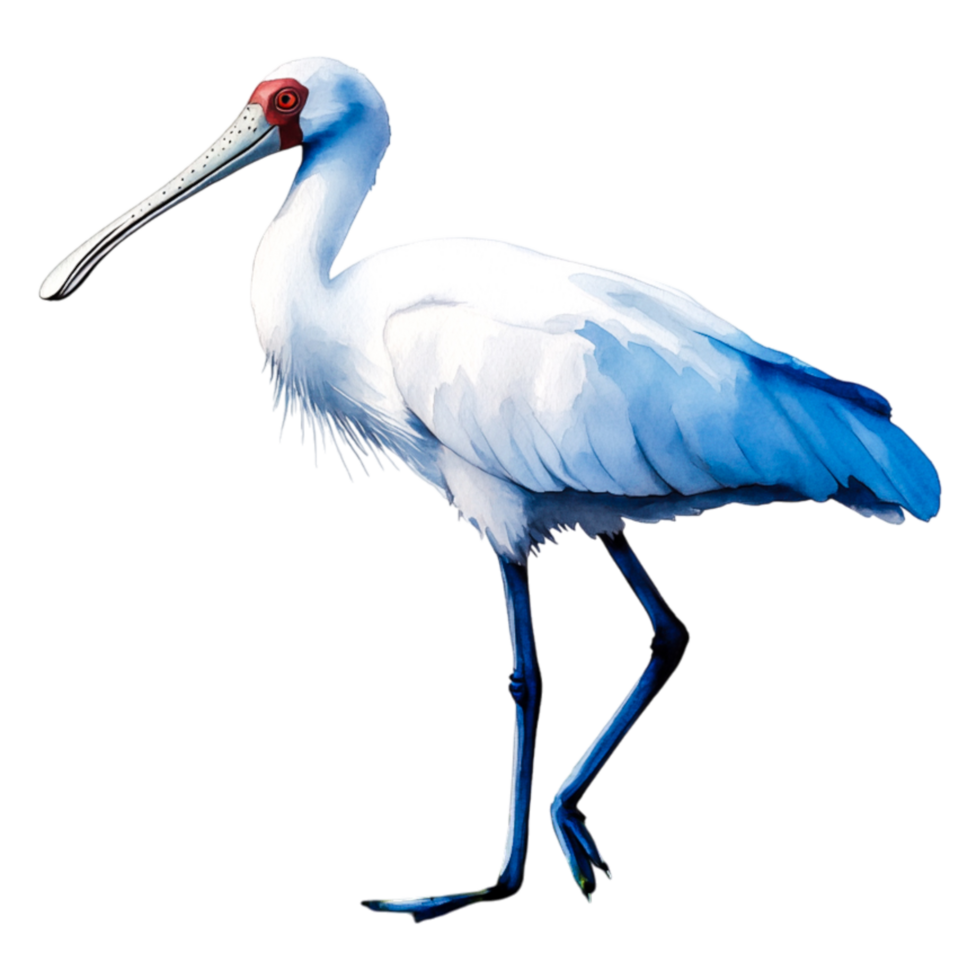 Elegant White Crane with Red Eye Standing Gracefully on One Leg png