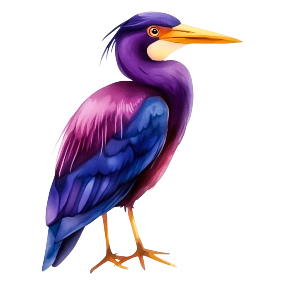 Vibrant Colorful Heron Illustration with Detailed Feather Patterns png