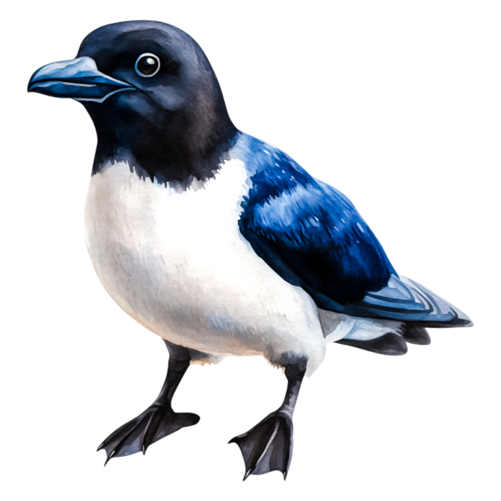 Colorful Bird with Blue and White Feathers Transparent Background png