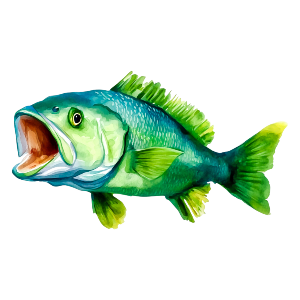 Colorful Bass Fish Illustration with Open Mouth and Vibrant Details png