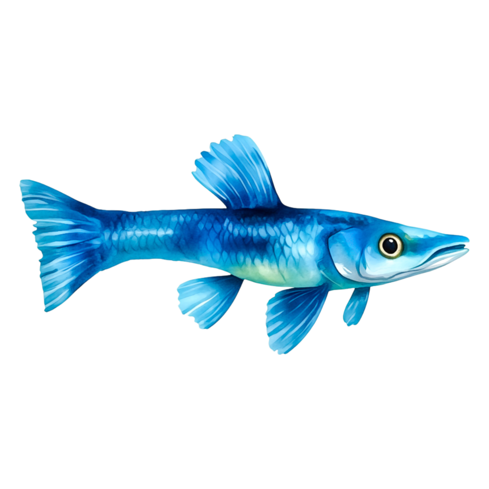 Blue Fish Swimming in Clear Water with Vibrant Details and Colors png