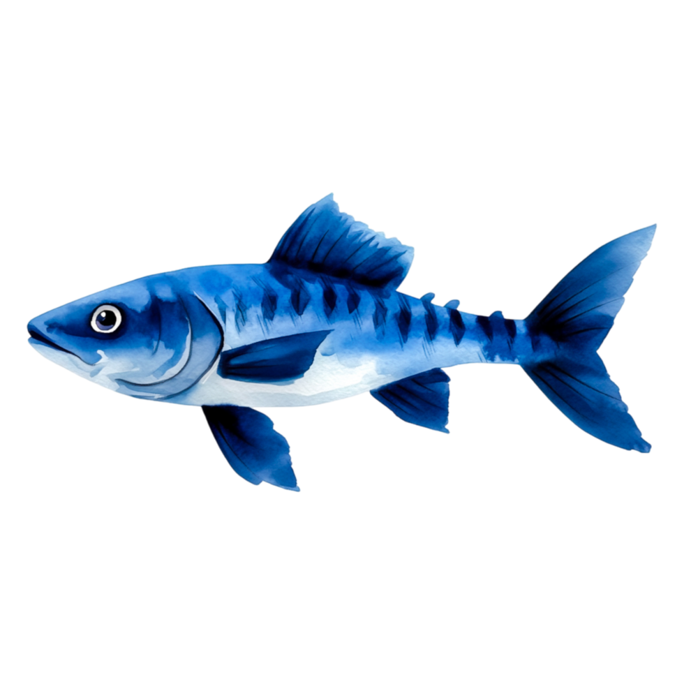 Realistic Blue Fish Illustration on for Design Use png