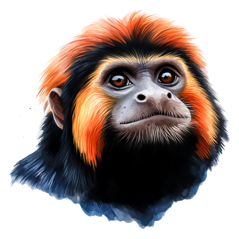 closeup of a Colorful Monkey with Striking Orange Fur Detail png