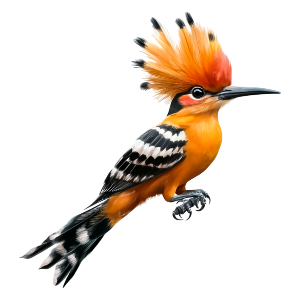 Vibrant Orange Bird with Unique Crest Perched Against Clear Background png